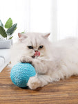 Interactive Sisal Cat Scratching Ball – 10CM Sounding Toy for Kittens | Teeth Cleaning, Anti-Bite & Fun Play