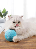 Interactive Sisal Cat Scratching Ball – 10CM Sounding Toy for Kittens | Teeth Cleaning, Anti-Bite & Fun Play
