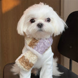 Fancy Winter Pet Dog Scarf with Lattice