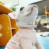 Luxury Pearl & Rhinestone Pet Necklace – Elegant Collar for Cats & Small Dogs