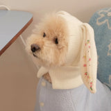 Cute Rabbit Ears Pet Knitted Hat