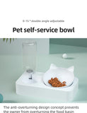 Tilted Pet Bowl – Protects Dog Cat Neck