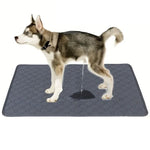 Reusable Washable Dog Pee Pad Training Mat