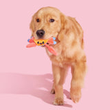 Plush Toy for Dogs (Sally Bitefoot Crab)