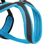 Dog Lift Harness (Protective Gear Auxiliary Belt)