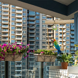 Wooden Bird Swing Toy – Parrot Perch Stand