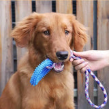 Supet Spiked Ring Dog Toy – Interactive Teeth Cleaning Chew