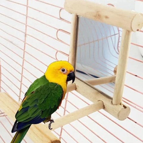 Bird Mirror Toy with Perch Stand for Parrot