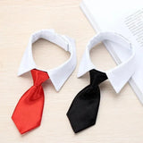 Adjustable Pet Bow Tie Collar for Pets