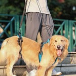 Dog Lift Harness (Protective Gear Auxiliary Belt)