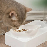 Tilted Pet Bowl – Protects Dog Cat Neck