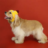 Knitted Dog Hat with Pom-Pom – Windproof Winter Cap for Small Pets