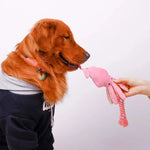 Squid Plush Rope Toy – Bite-Resistant Interactive Dog Toy
