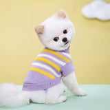 Knitted Dog Sweater – Cozy Autumn/Winter Turtleneck for Small Dogs & Cats