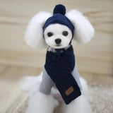 Winter Striped Dog Hat & Scarf Set – Knitted Christmas Pet Costume