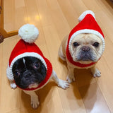 Cute Knitted Christmas Pet Beanie