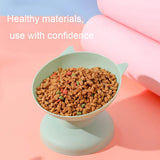 High-Footed Slanted Cat Bowl – Elevated Pet Feeding Dish