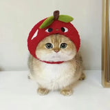 blueberry/apple Hat for small Pets