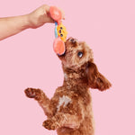 Plush Toy for Dogs (Sally Bitefoot Crab)