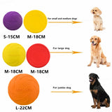 Silicone Dog Flying Disc – Interactive Training Toy
