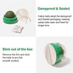 Catnip Wall Ball Toy – Healthy Cat Grass Treat & Scratcher | Natural Snack Aids Digestion & Keeps Cats Entertained