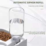 Automatic Pet Water and Food Bowl