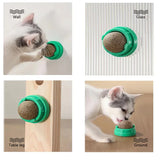Catnip Wall Ball Toy – Healthy Cat Grass Treat & Scratcher | Natural Snack Aids Digestion & Keeps Cats Entertained