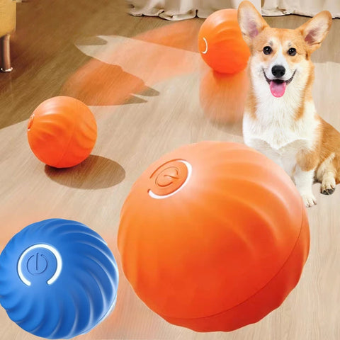 Smart Moving Dog Toy Ball – USB Rechargeable