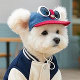Pet Sun Hat & Sunglasses Set – Dog Cap & Cat Headwear