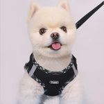 Adjustable No-Pull Dog Harness for Small Dogs