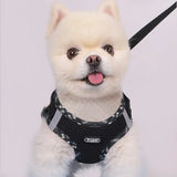 Adjustable No-Pull Dog Harness for Small Dogs