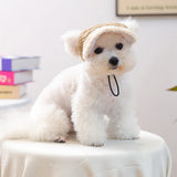 Fleece Winter Pet Baseball Cap – Warm Hat for Small & Medium Dogs and Cats