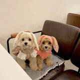 Cute Rabbit Ears Pet Knitted Hat