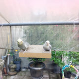 Parrot Chew Toy – Shredded Paper Stress Relief Board