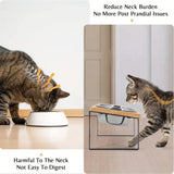 15° Tilted Elevated Cat/Dog Bowls