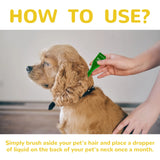 Cat Flea and Tick Treatment Drops