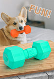 TPR Dumbbell Dog Toy – Squeaky Chew for Teeth Cleaning