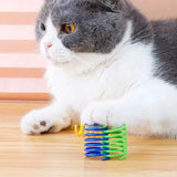 100PCS Cat Spring Toy Balls – Colorful EVA Chew and Scratch Set