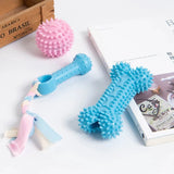 Interactive Rubber Dog Ball – Teeth Cleaning Toy