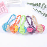 Chew & Play Cotton Rope Ball – Fun Dog Toy & Toothbrush