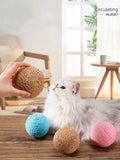 Interactive Sisal Cat Scratching Ball – 10CM Sounding Toy for Kittens | Teeth Cleaning, Anti-Bite & Fun Play