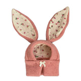 Cute Rabbit Ears Pet Knitted Hat