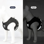 Adjustable Mesh Dog Harness with Leash
