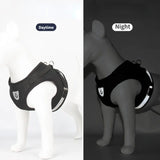 Adjustable Mesh Dog Harness with Leash