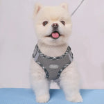 Adjustable No-Pull Dog Harness for Small Dogs