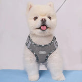 Adjustable No-Pull Dog Harness for Small Dogs