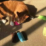 Plush Cat Toy for Pets – Soft & Cuddly Play Toy in 5 Colors