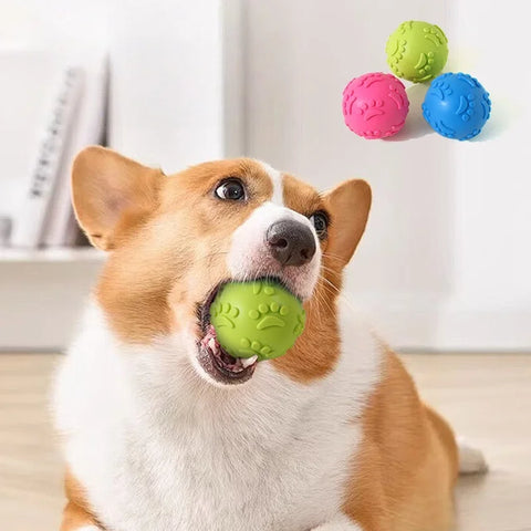 Durable Dog Chewing Squeak Toy Ball Outdoor Throwing Dog Recovery Training Pet Supplies
