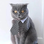 Adjustable Pet Bow Tie Collar for Pets