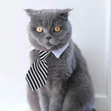 Adjustable Pet Bow Tie Collar for Pets